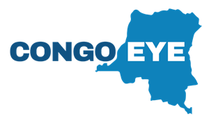 The Democratic Republic of Congo through an open-source lens